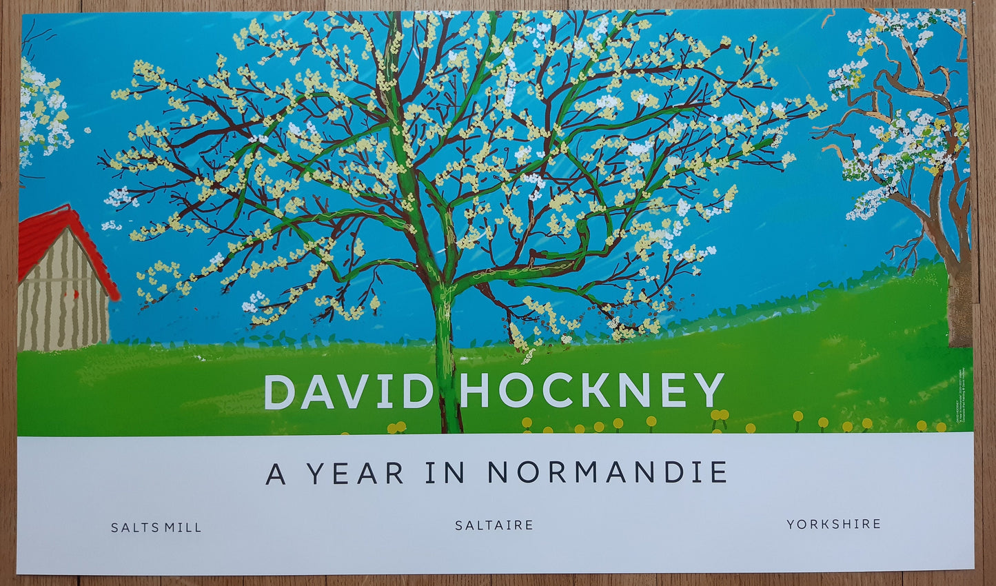 David Hockney original art poster - 39.2"×23.0" (99.5×58.5cm)