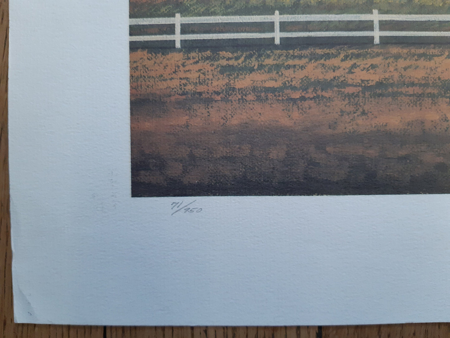 Judith Zimmers original art poster signed - 39.4"×21.3" (100×54cm)