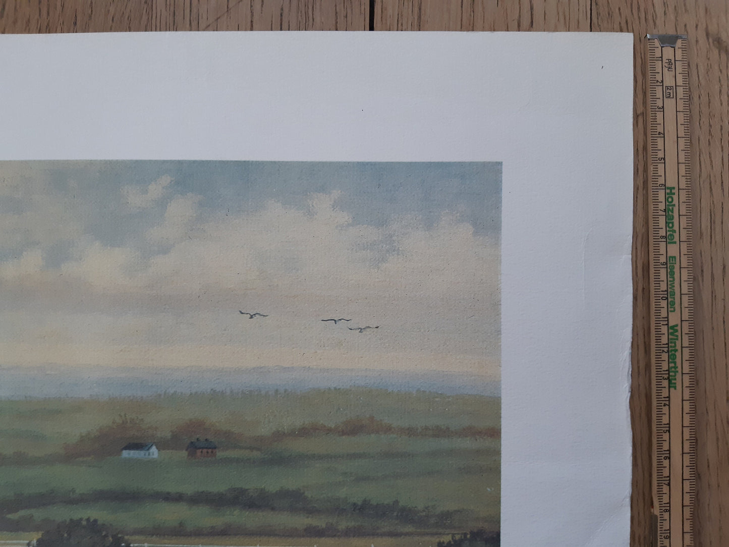 Judith Zimmers original art poster signed - 39.4"×21.3" (100×54cm)