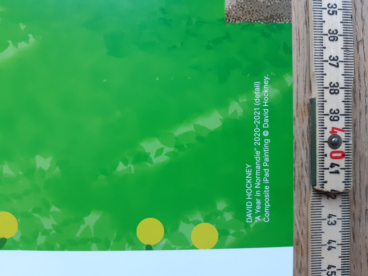 David Hockney original art poster - 39.2"×23.0" (99.5×58.5cm)