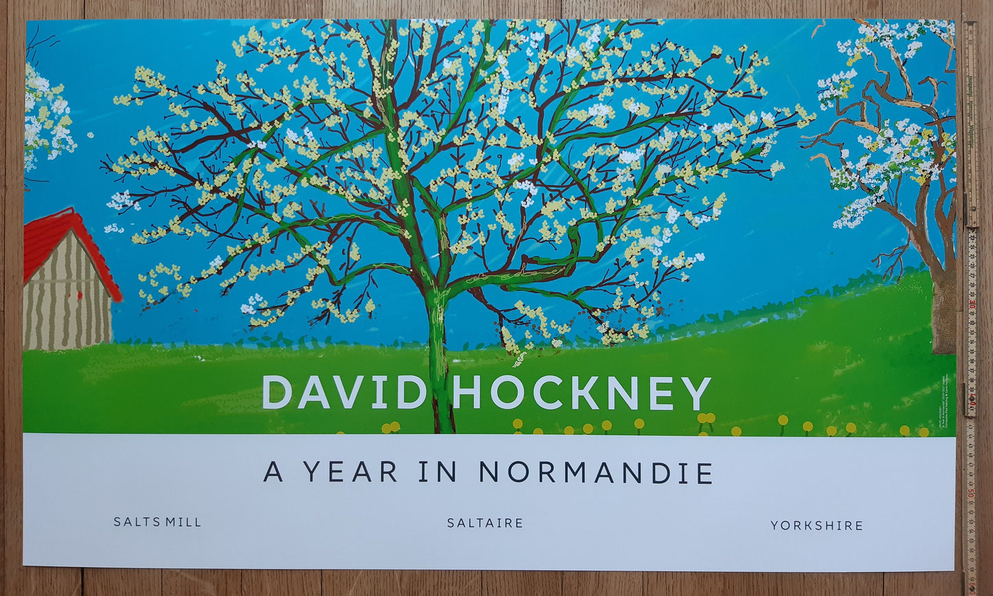 David Hockney original art poster - 39.2"×23.0" (99.5×58.5cm)