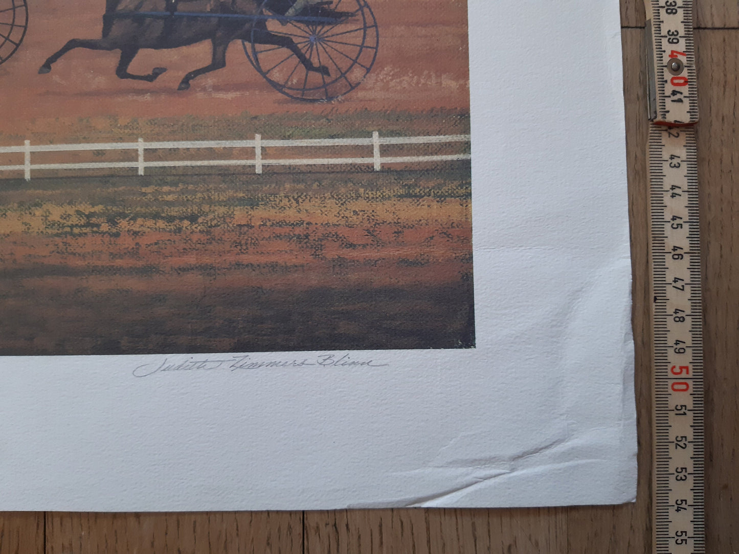 Judith Zimmers original art poster signed - 39.4"×21.3" (100×54cm)