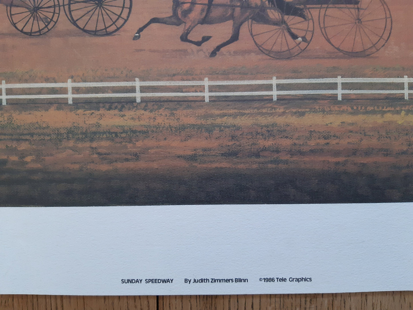 Judith Zimmers original art poster signed - 39.4"×21.3" (100×54cm)