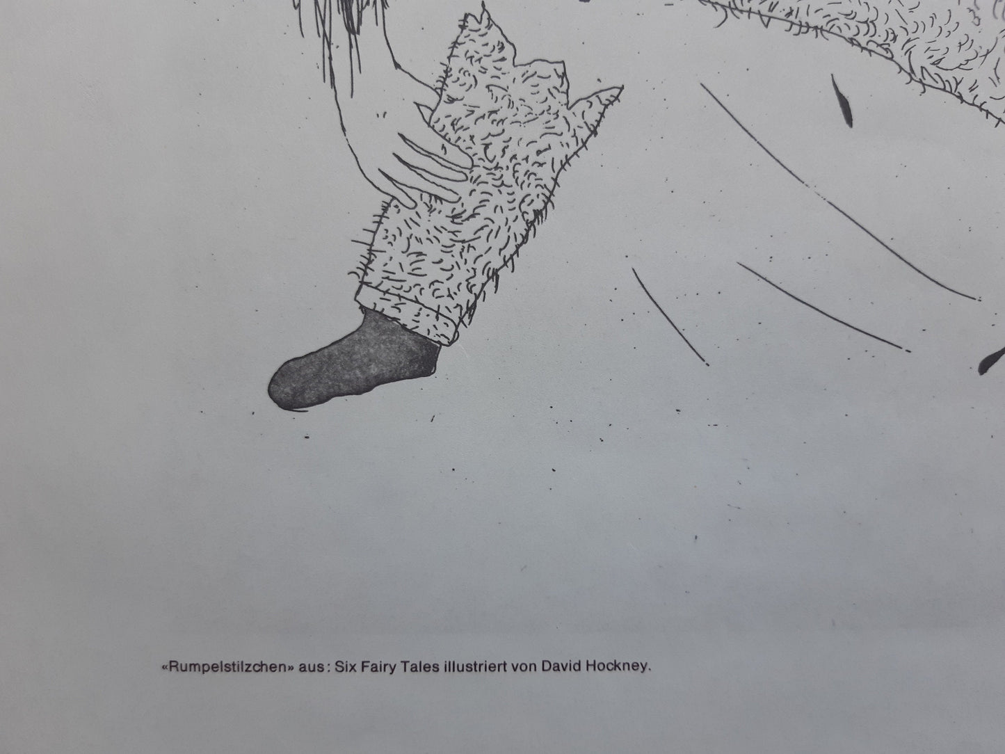 David Hockney original art poster used - 25.2"×35.4" (64×90cm)