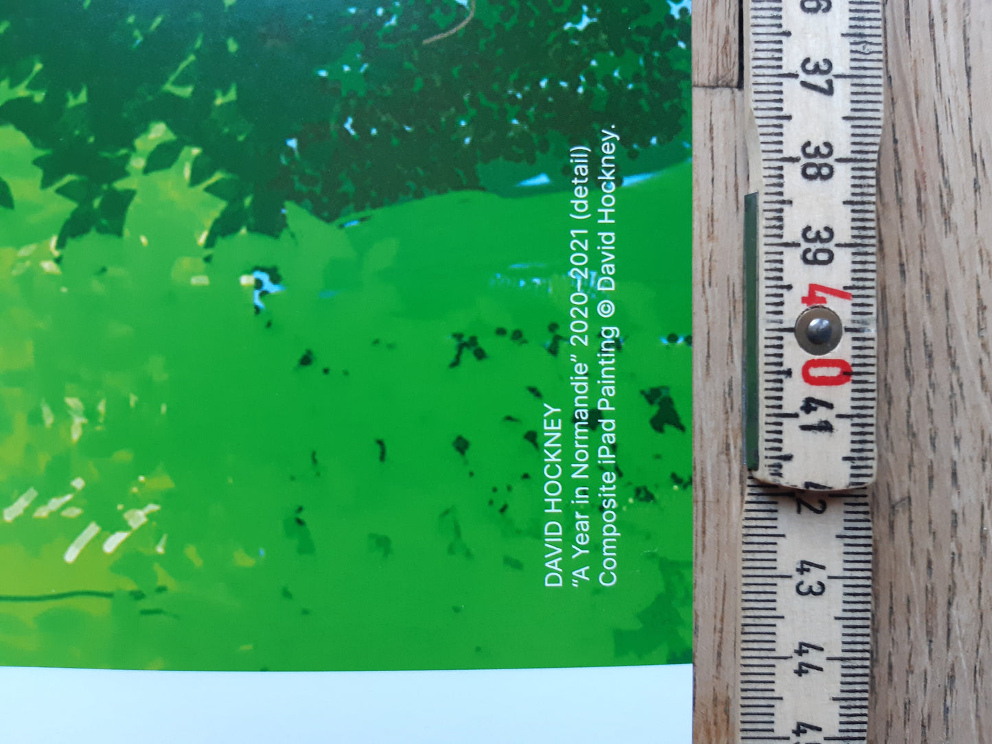 David Hockney original art poster - 39.2"×23.0" (99.5×58.5cm)