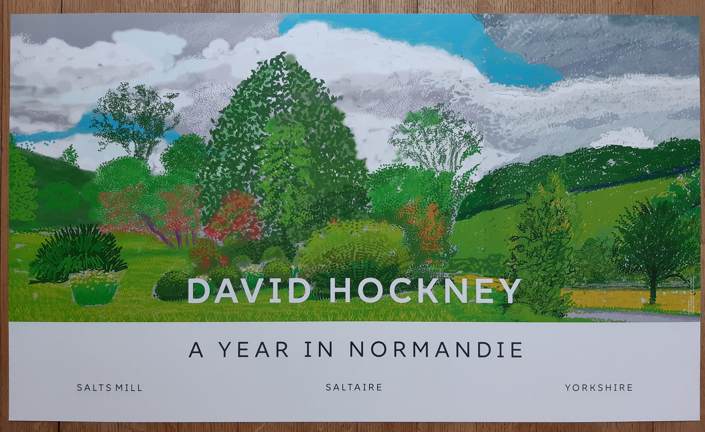 David Hockney original art poster - 39.2"×23.0" (99.5×58.5cm)
