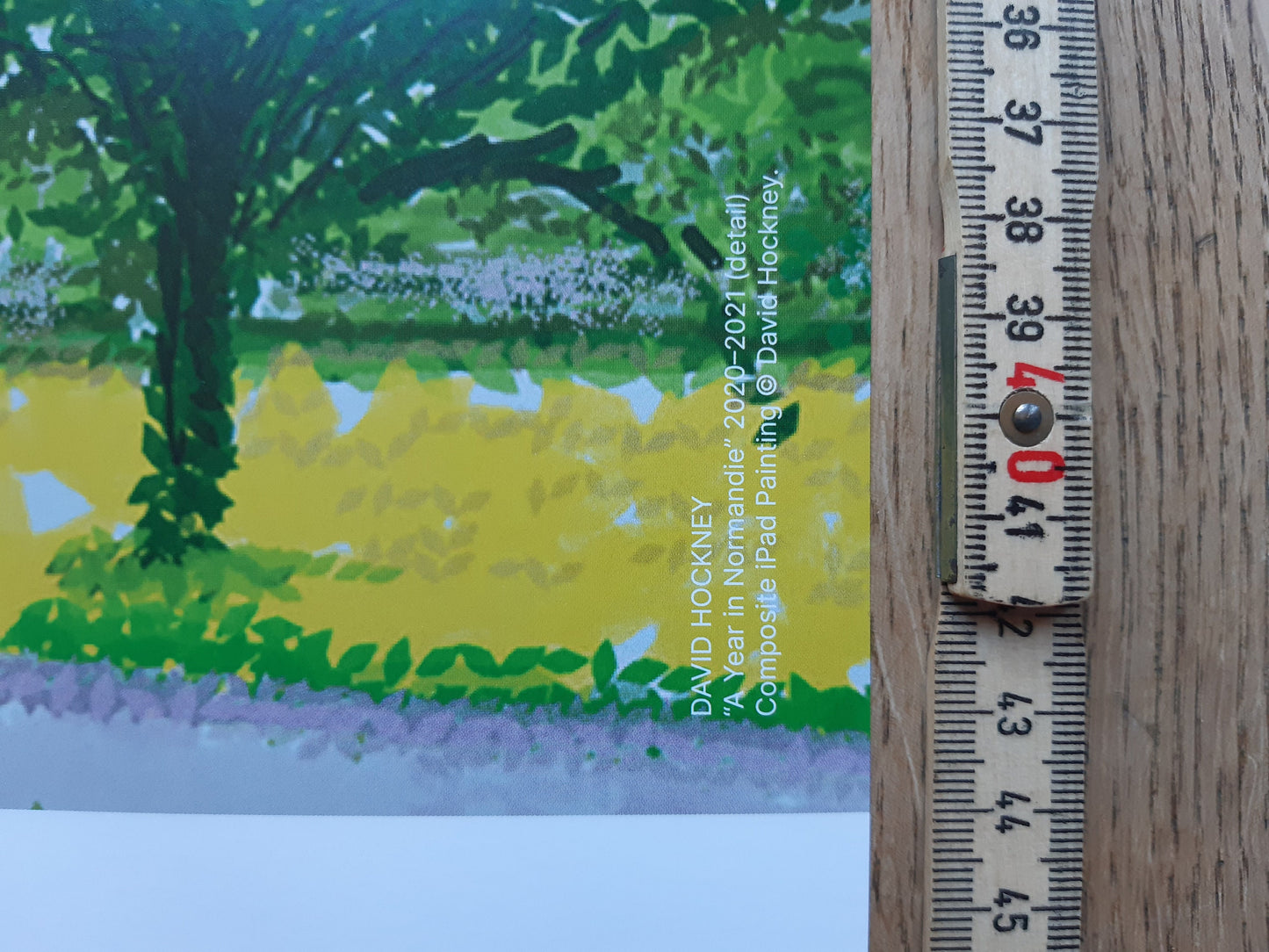 David Hockney original art poster - 39.2"×23.0" (99.5×58.5cm)
