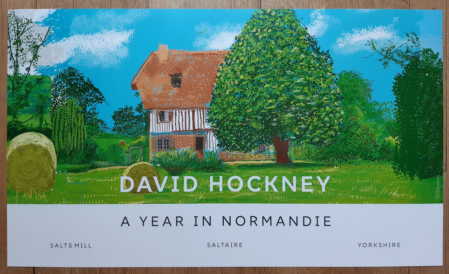 David Hockney original art poster - 39.2"×23.0" (99.5×58.5cm)