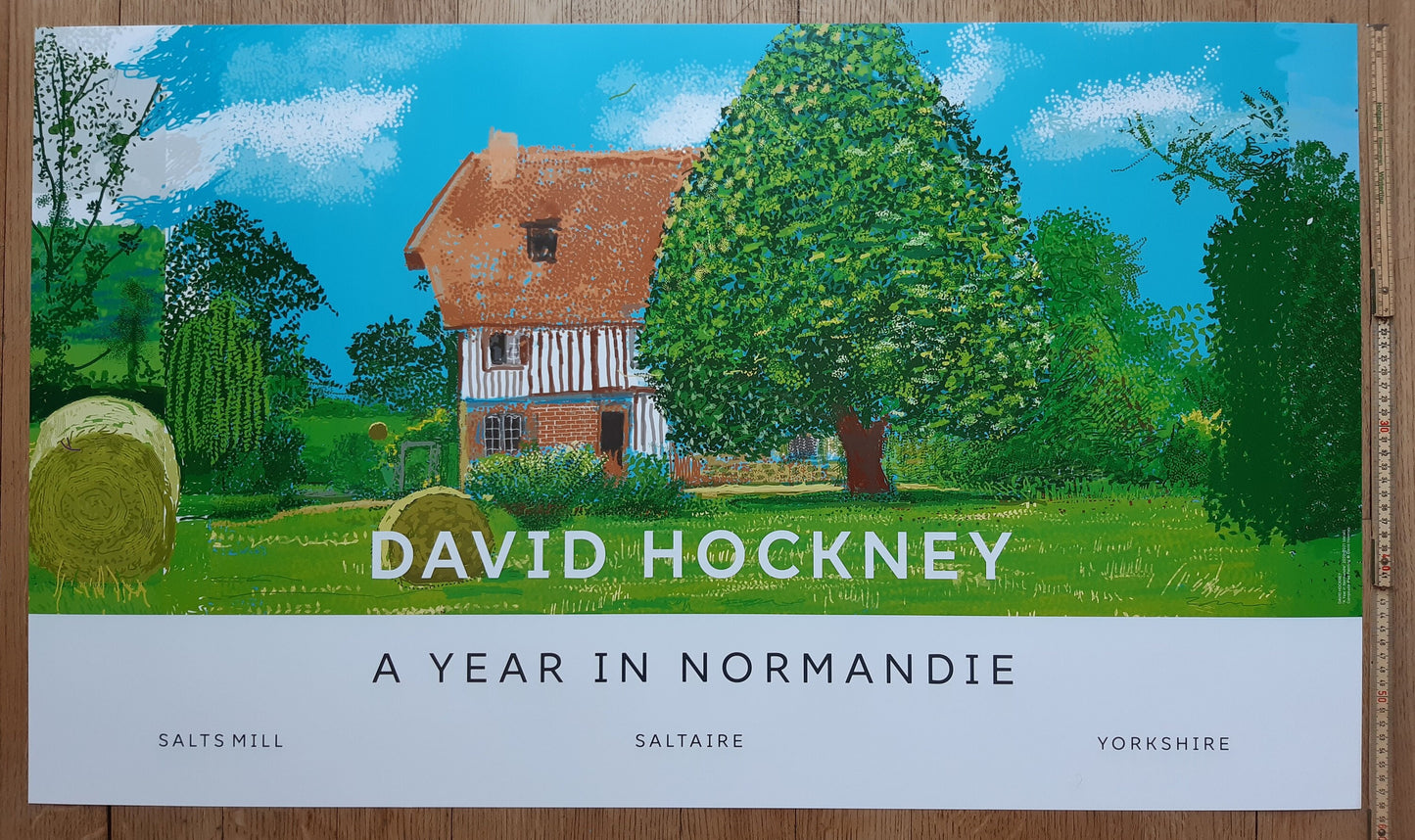 David Hockney original art poster - 39.2"×23.0" (99.5×58.5cm)