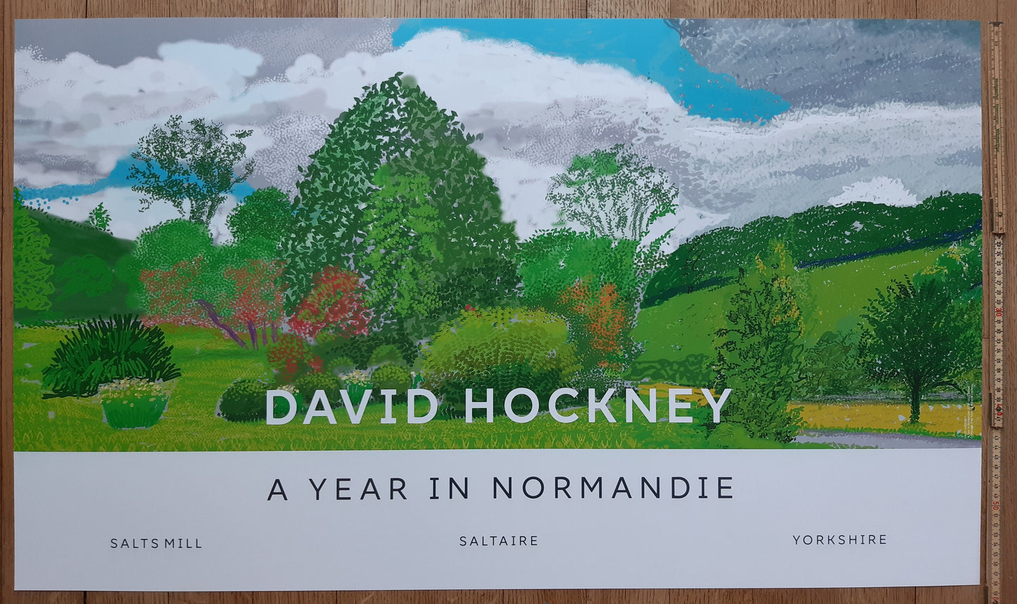 David Hockney original art poster - 39.2"×23.0" (99.5×58.5cm)