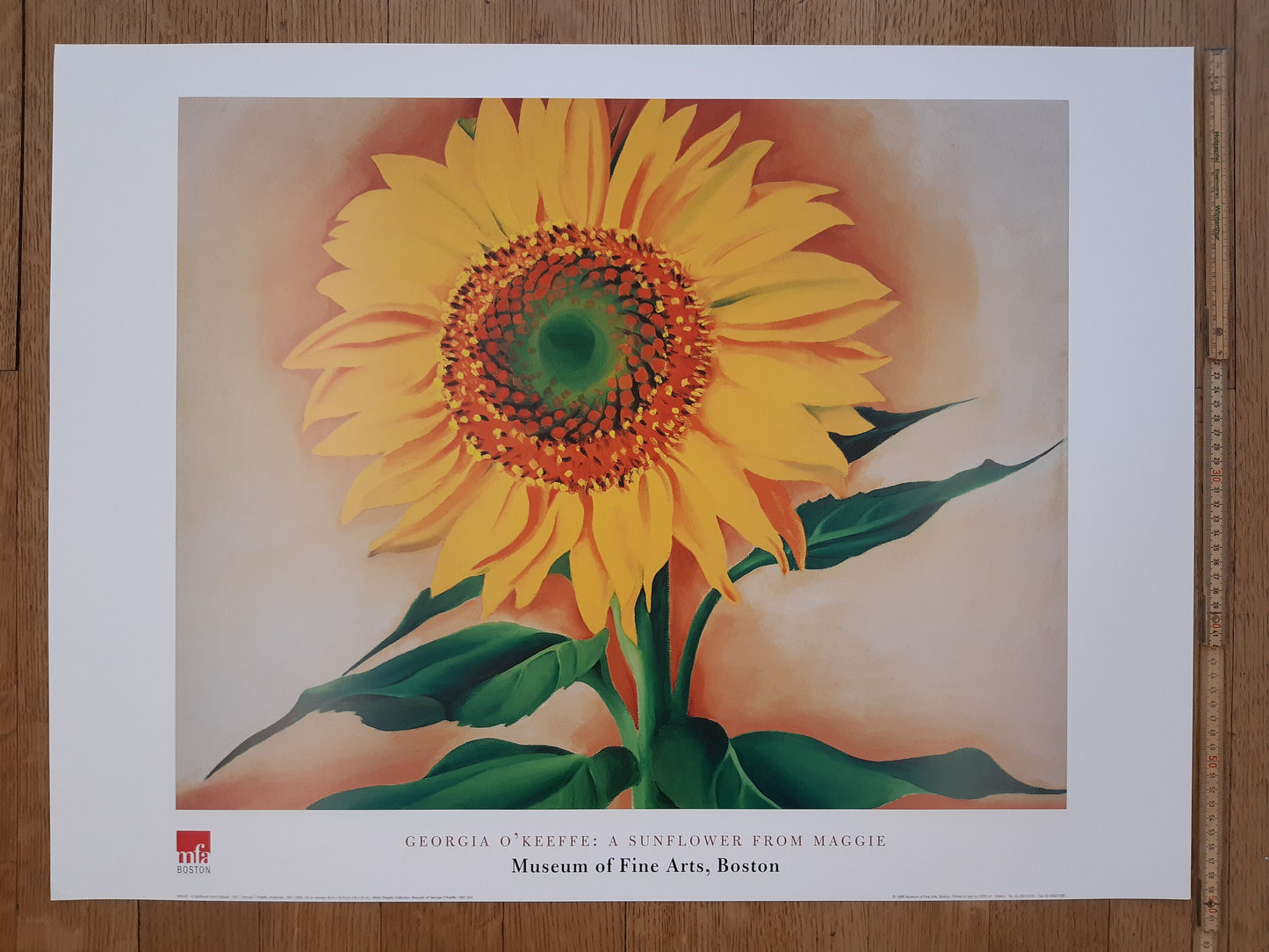 Georgia O'Keeffe original art poster - 31.5"×23.6" (80×60cm)