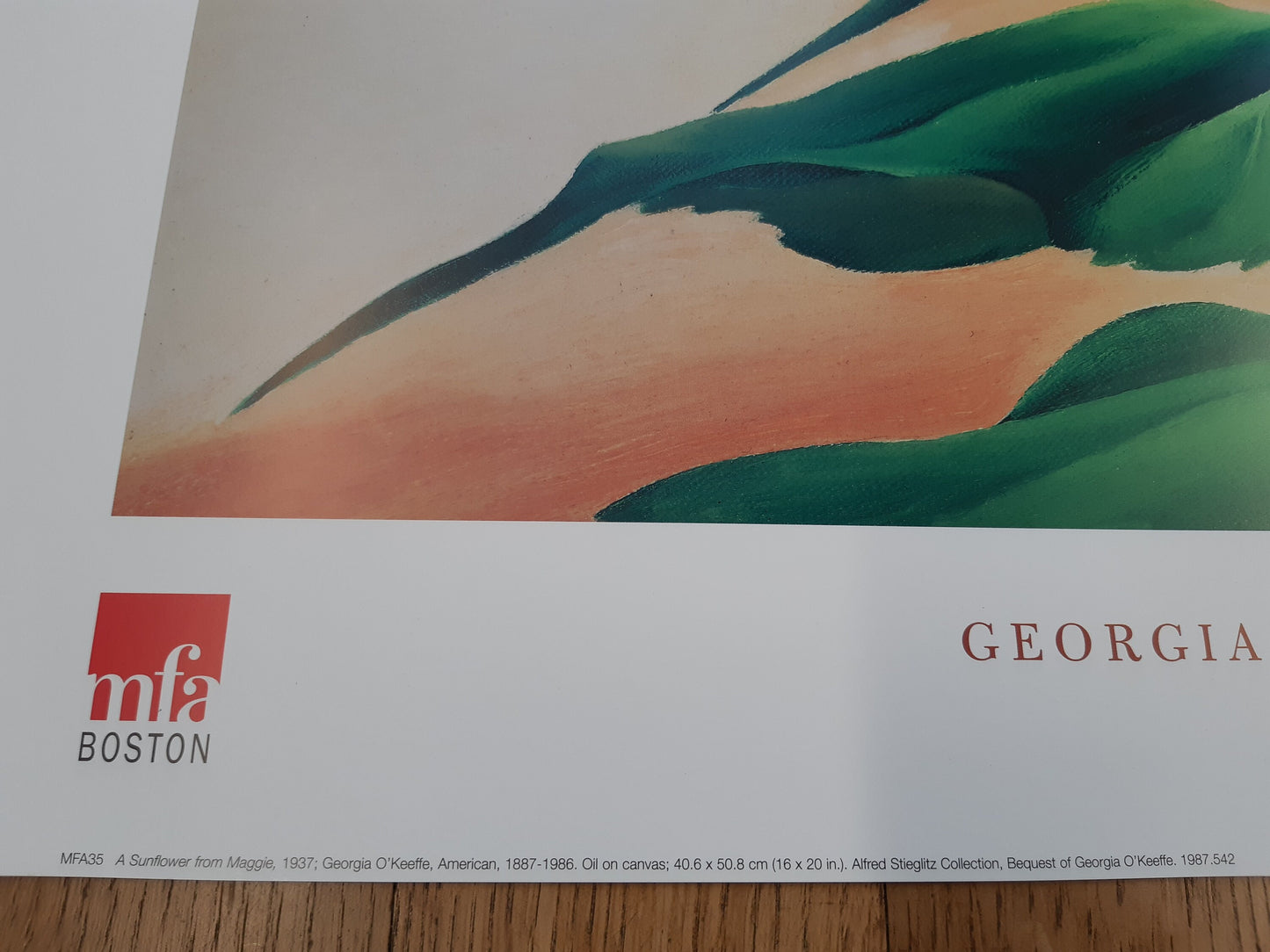Georgia O'Keeffe original art poster - 31.5"×23.6" (80×60cm)