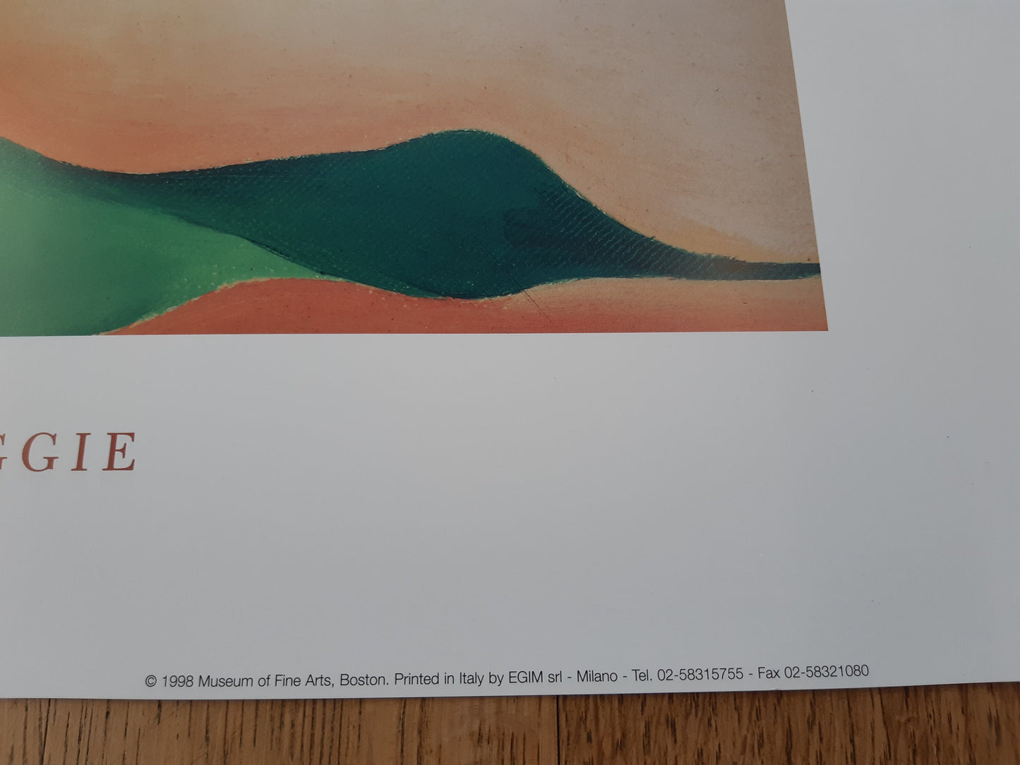 Georgia O'Keeffe original art poster - 31.5"×23.6" (80×60cm)