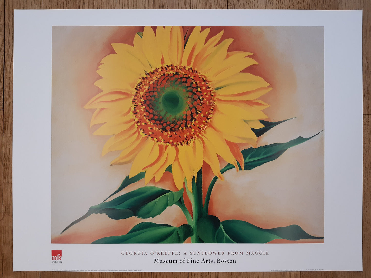 Georgia O'Keeffe original art poster - 31.5"×23.6" (80×60cm)