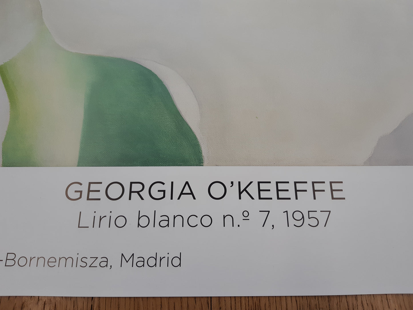 Georgia O'Keefe original art poster - 27.0"×38.6" (68.7×98cm)