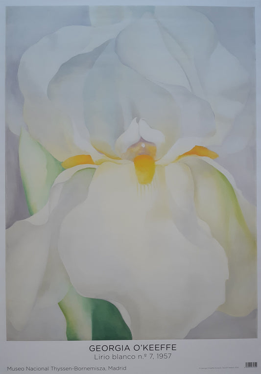 Georgia O'Keefe original art poster - 27.0"×38.6" (68.7×98cm)