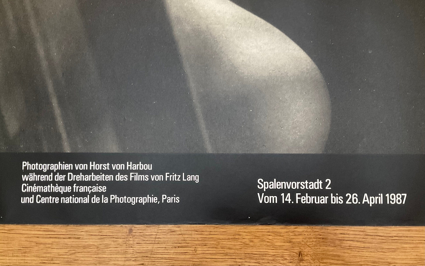 Metropolis Photo poster Horst von Harbou - 50.2"×35.6" (127.5×90.5cm)