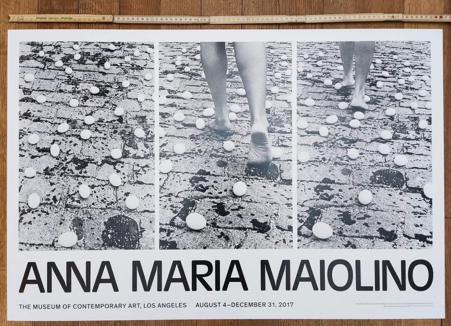 Anna Maria Maiolino original art poster - 24.0"×35.9" (61×91.3cm)