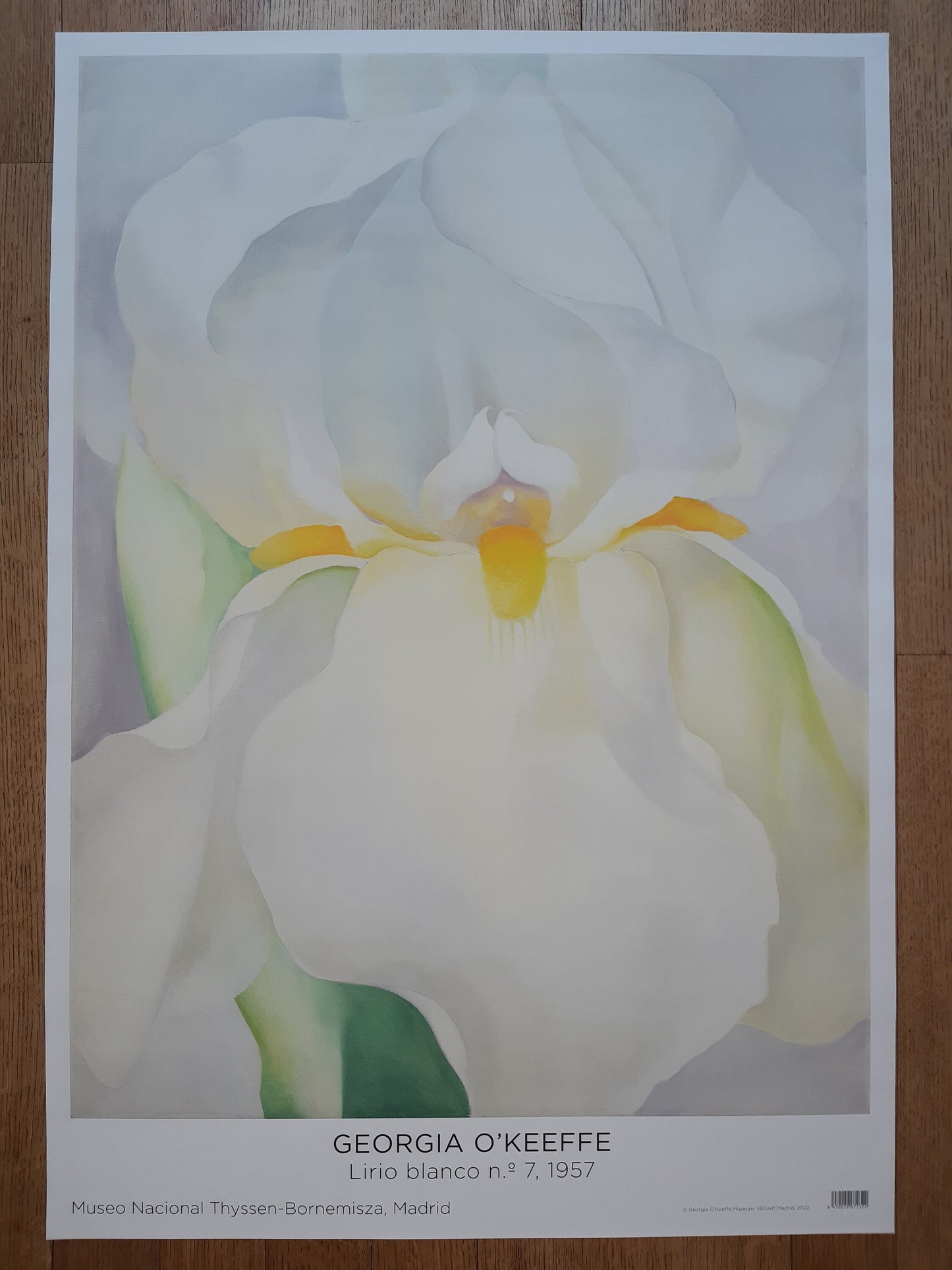 Georgia O'Keefe original art poster - 27.0"×38.6" (68.7×98cm)