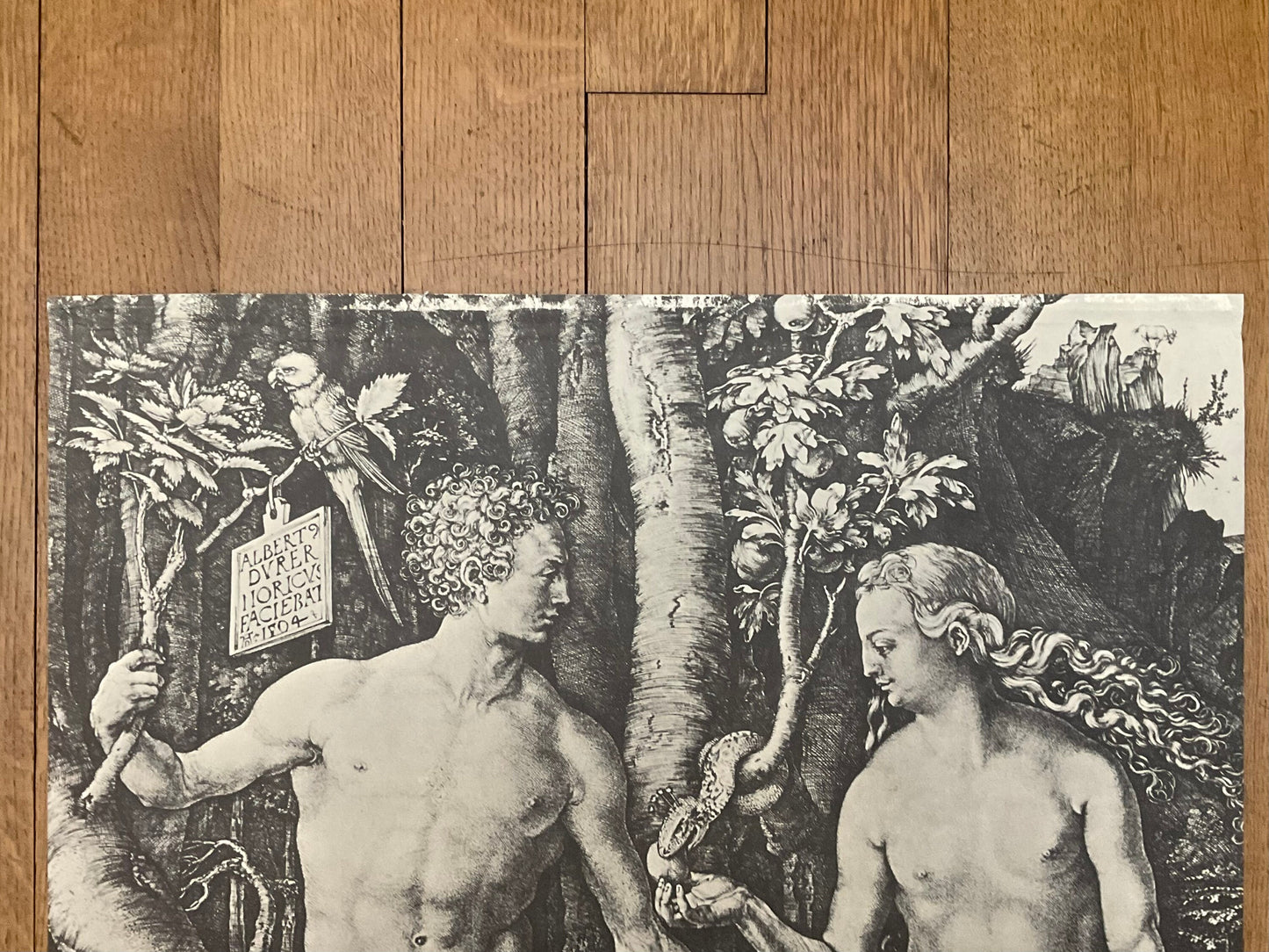 Albrecht Dürer vintage art poster - 28.9"×22.0" (73.5×56cm)