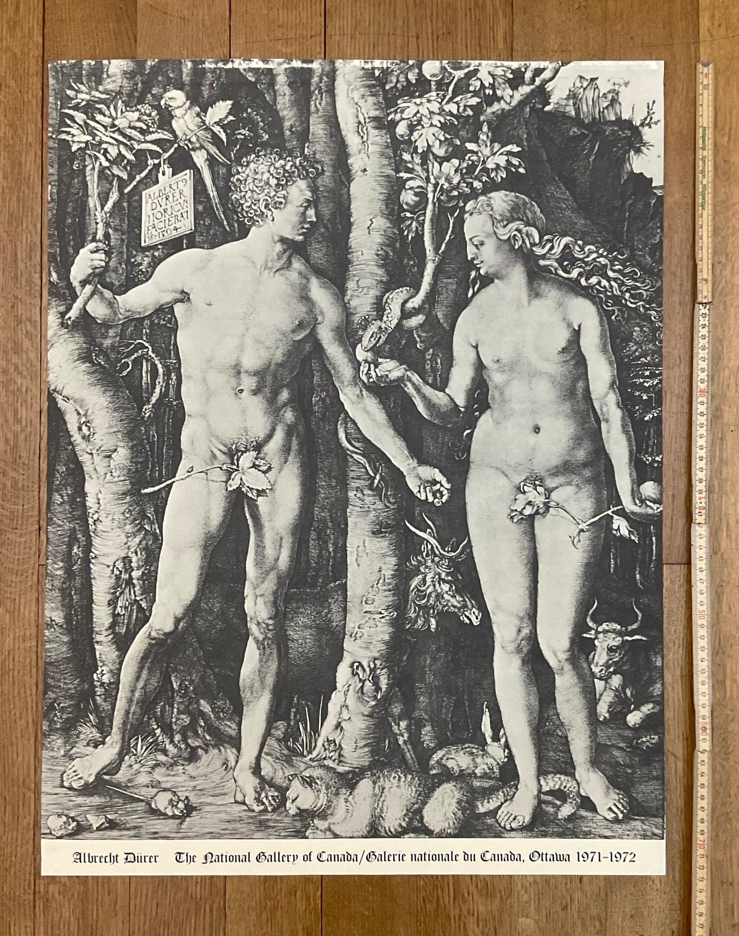 Albrecht Dürer vintage art poster - 28.9"×22.0" (73.5×56cm)