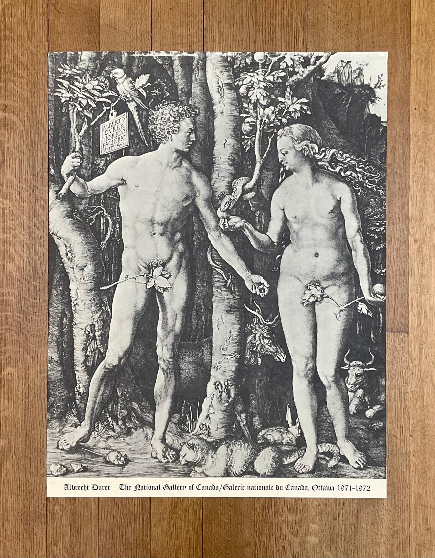 Albrecht Dürer vintage art poster - 28.9"×22.0" (73.5×56cm)