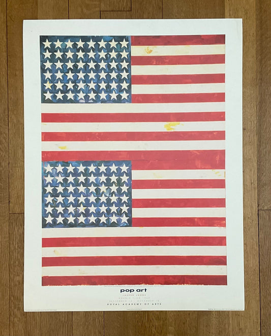Jasper Johnes vintage art poster double flag - 23.6"×31.5" (60×80cm)