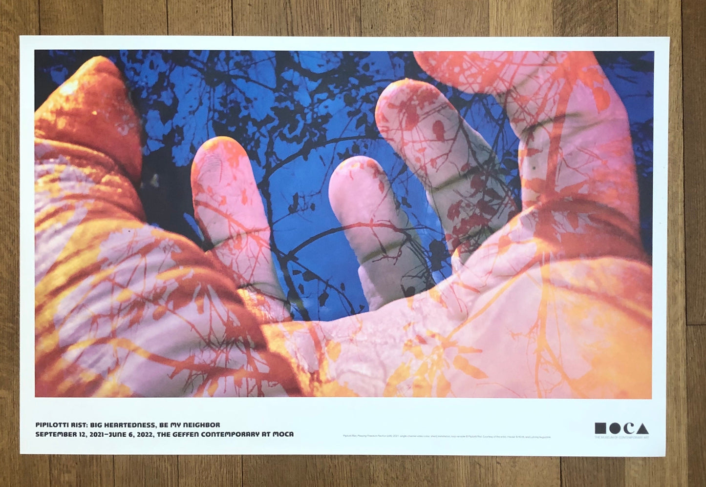 Pipilotti Rist art poster - 34.0"×22.0" (86.4×55.9cm)