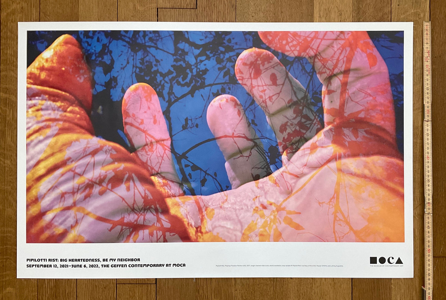 Pipilotti Rist art poster - 34.0"×22.0" (86.4×55.9cm)