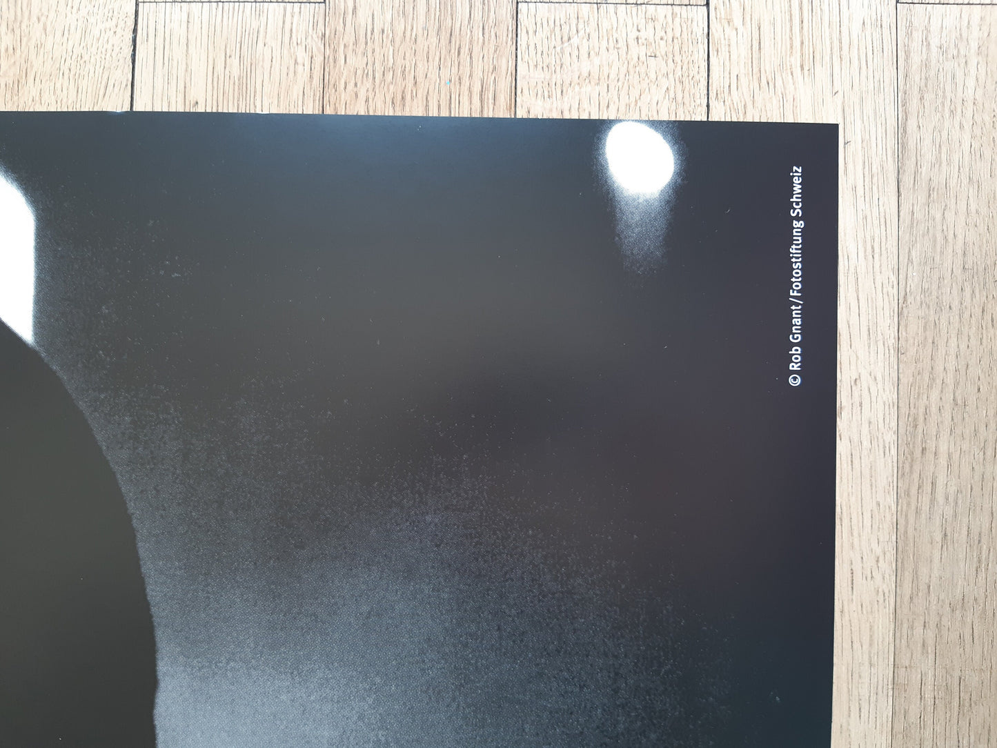 Rob Gnant photo poster - 35.4"×50.4" (90×128cm)