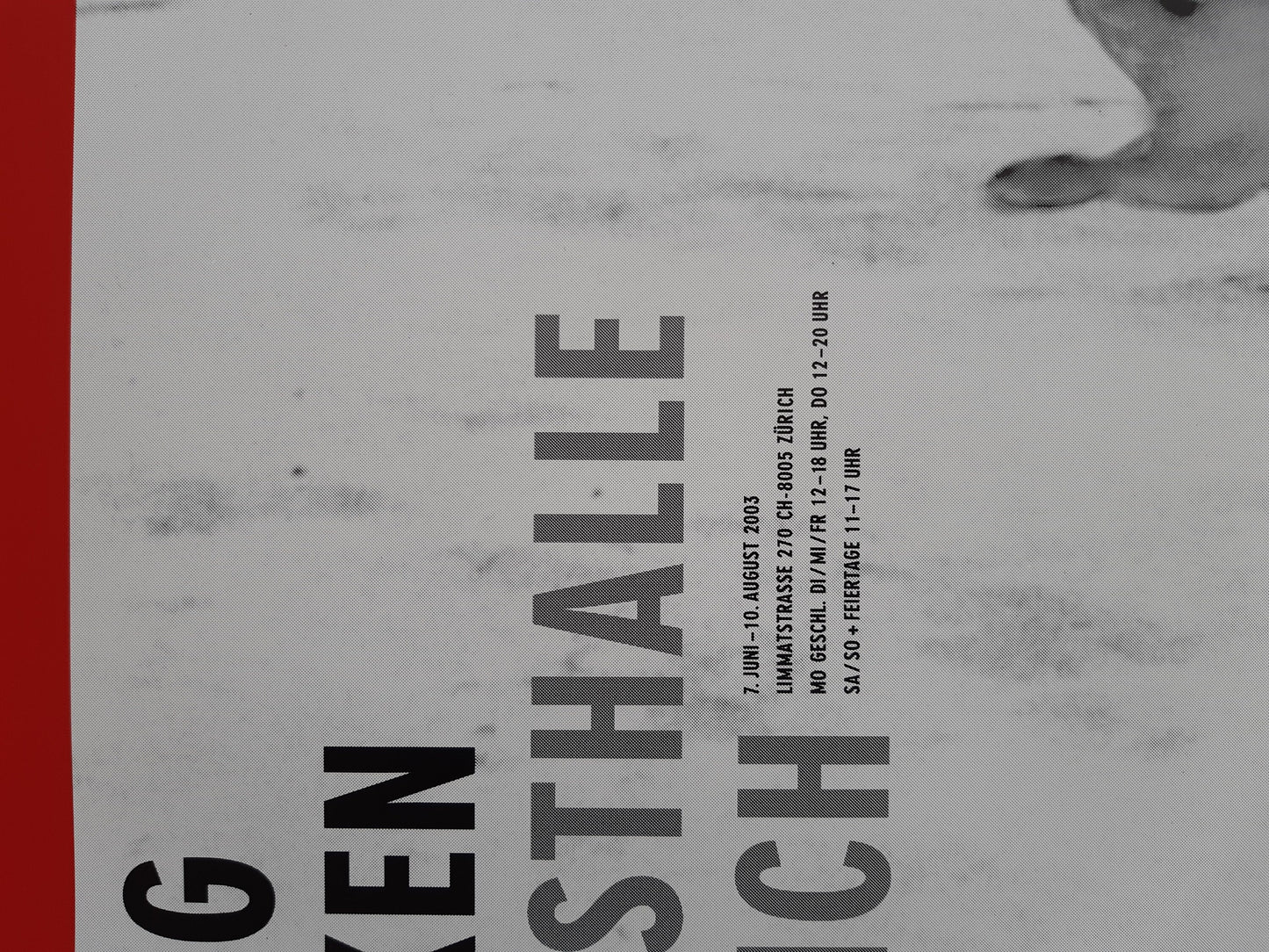 Doug Aitken art exhibition poster - 35.4"×50.4" (90×128cm)