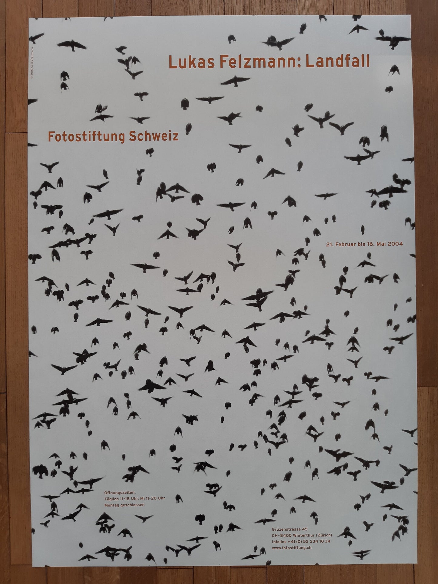 Lukas Felzmann art exhibition poster - 35.4"×50.4" (90×128cm)