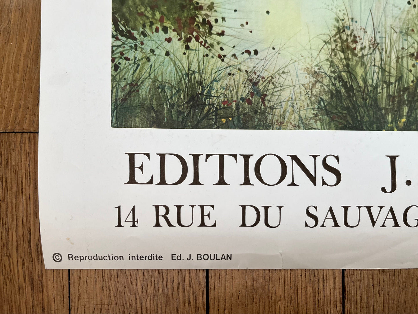 Gilles Figuier original art poster - 16.1"×25.2" (41×64cm)