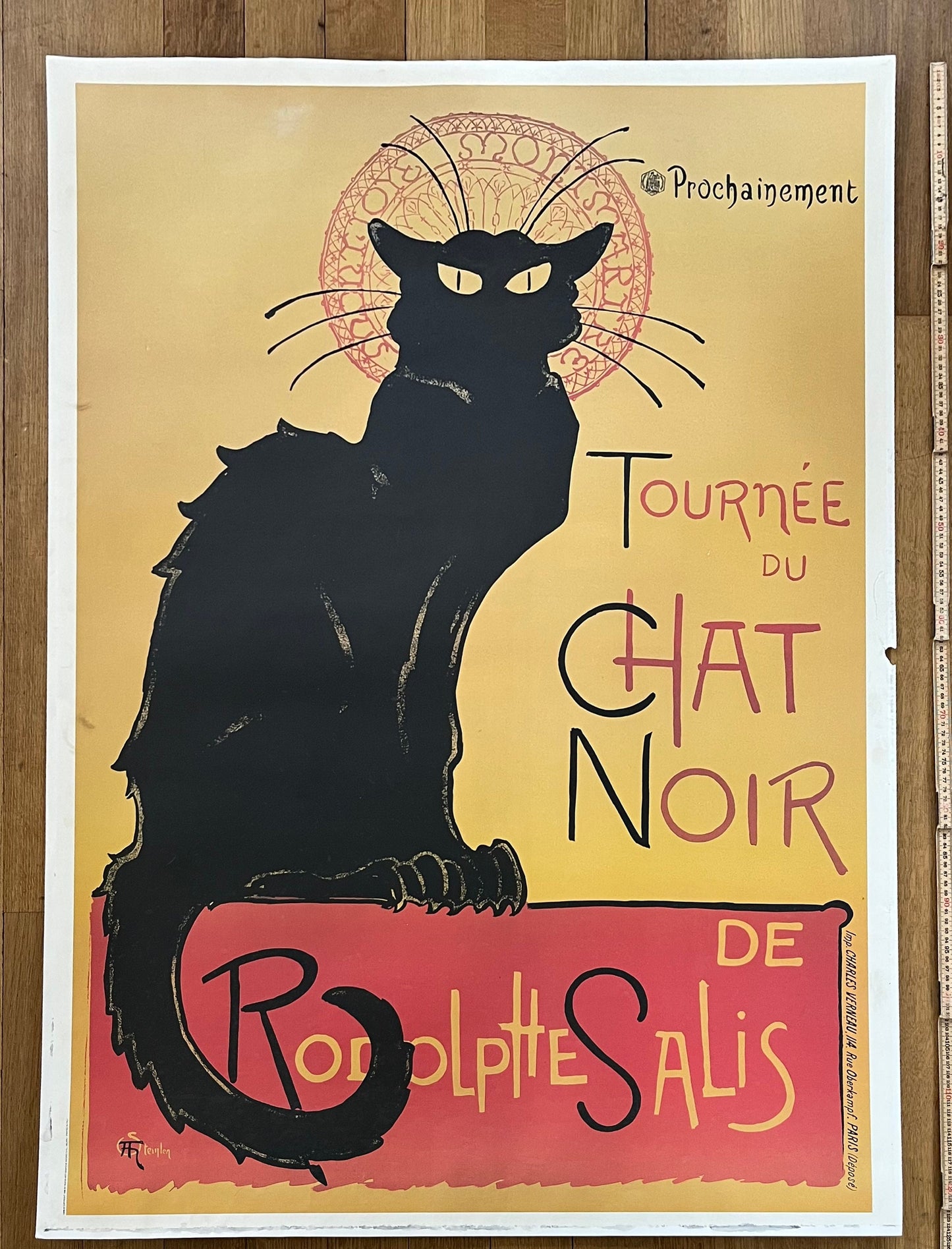 Chat Noir Salis Art Poster - 35.6"×49.2" (90.5×125cm)