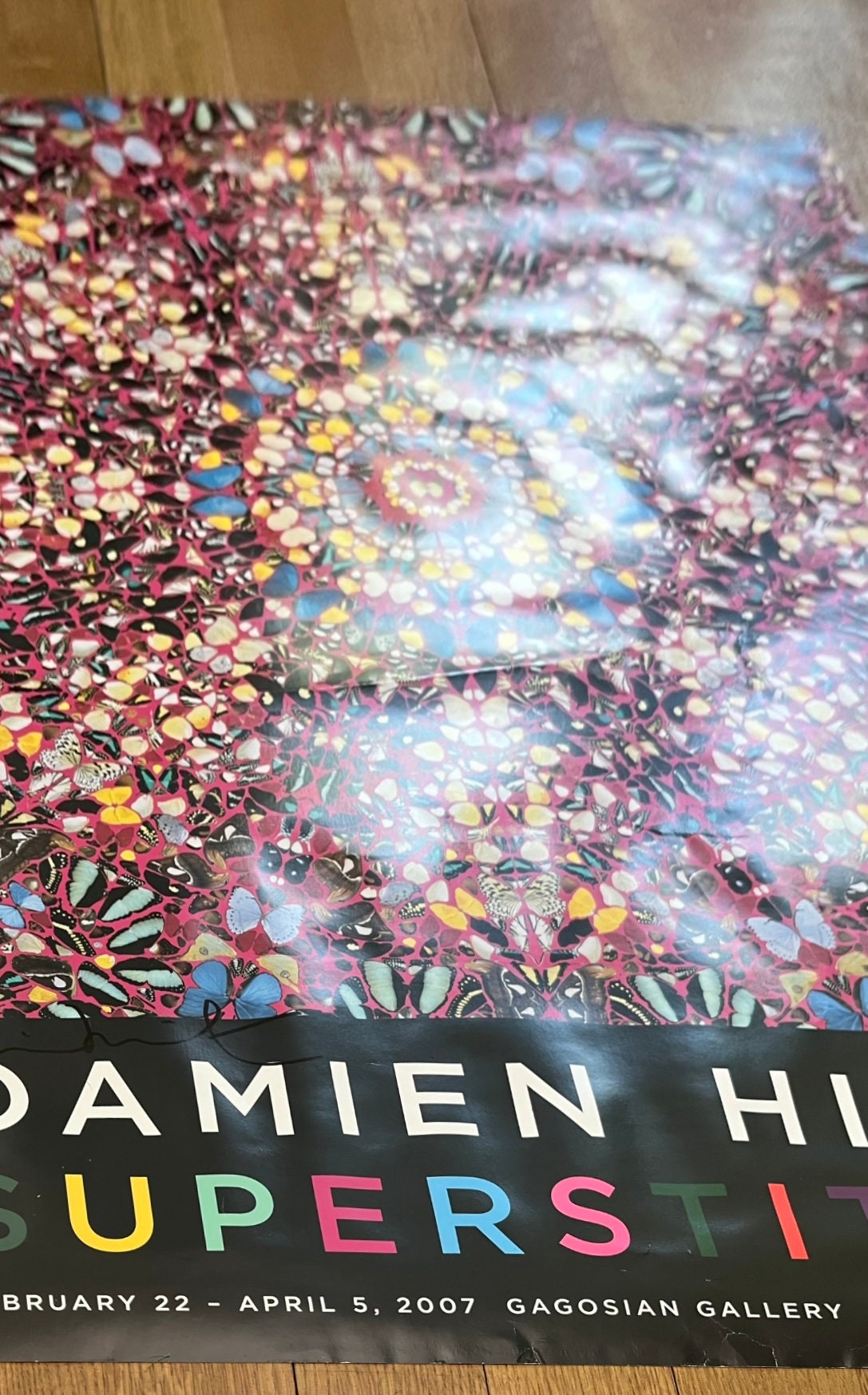 Damien Hirst art poster signed used - 26.0"×38.8" (66×98.5cm)