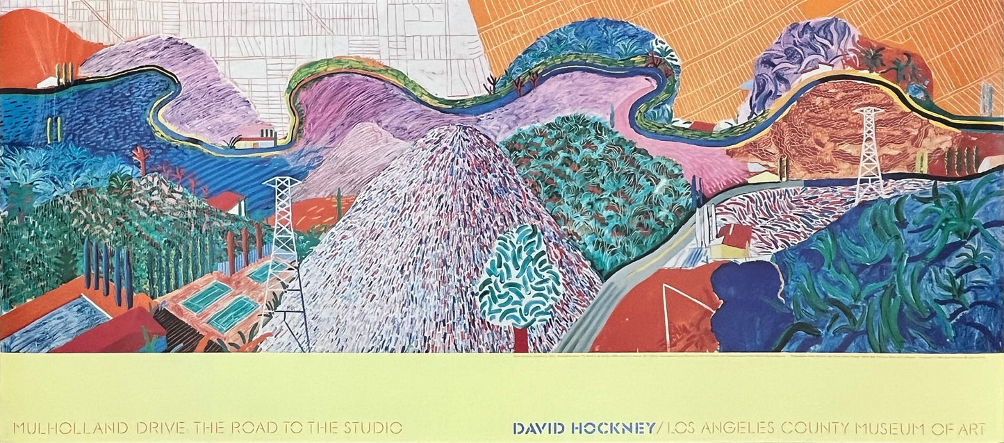 David Hockney vintage art poster used - 38.0"×16.9" (96.5×43cm)