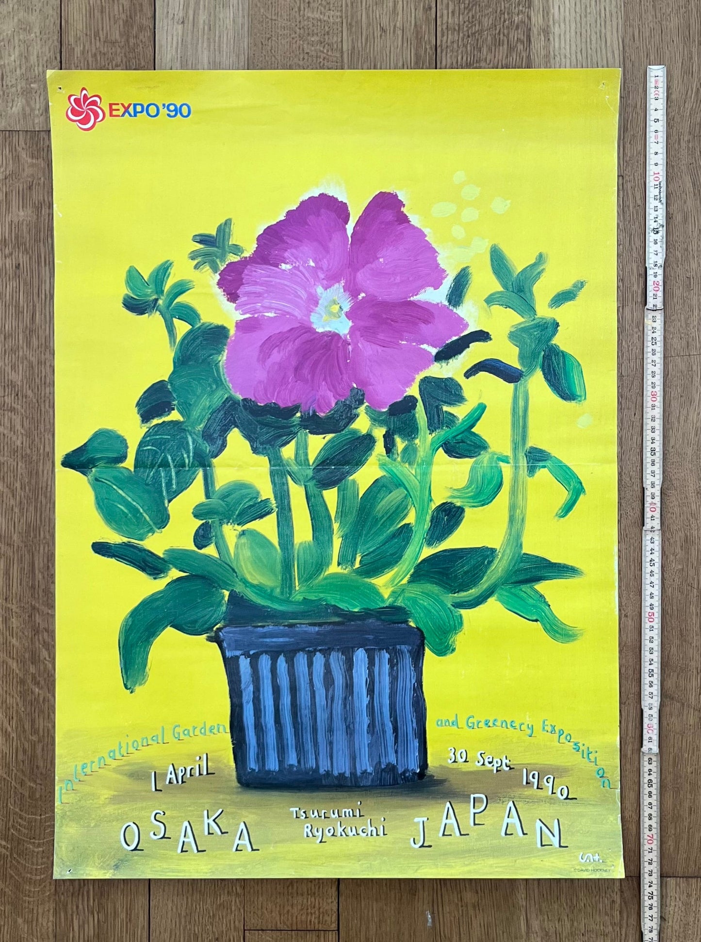 David Hockney original art poster used - 20.1"×28.7" (51×73cm)