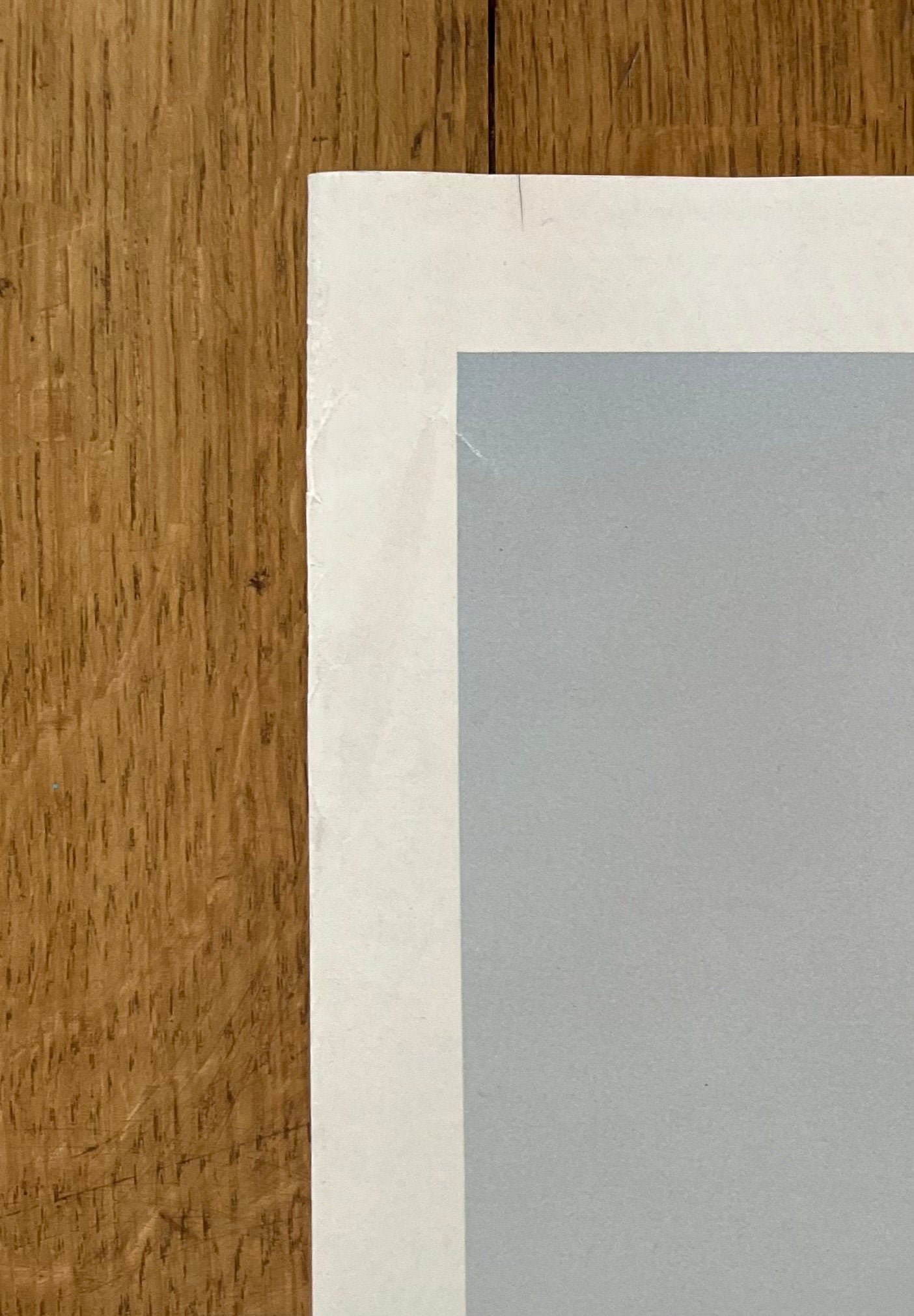 Ai Wei Wei original film poster - 35.2"×41.3" (89.5×105cm)