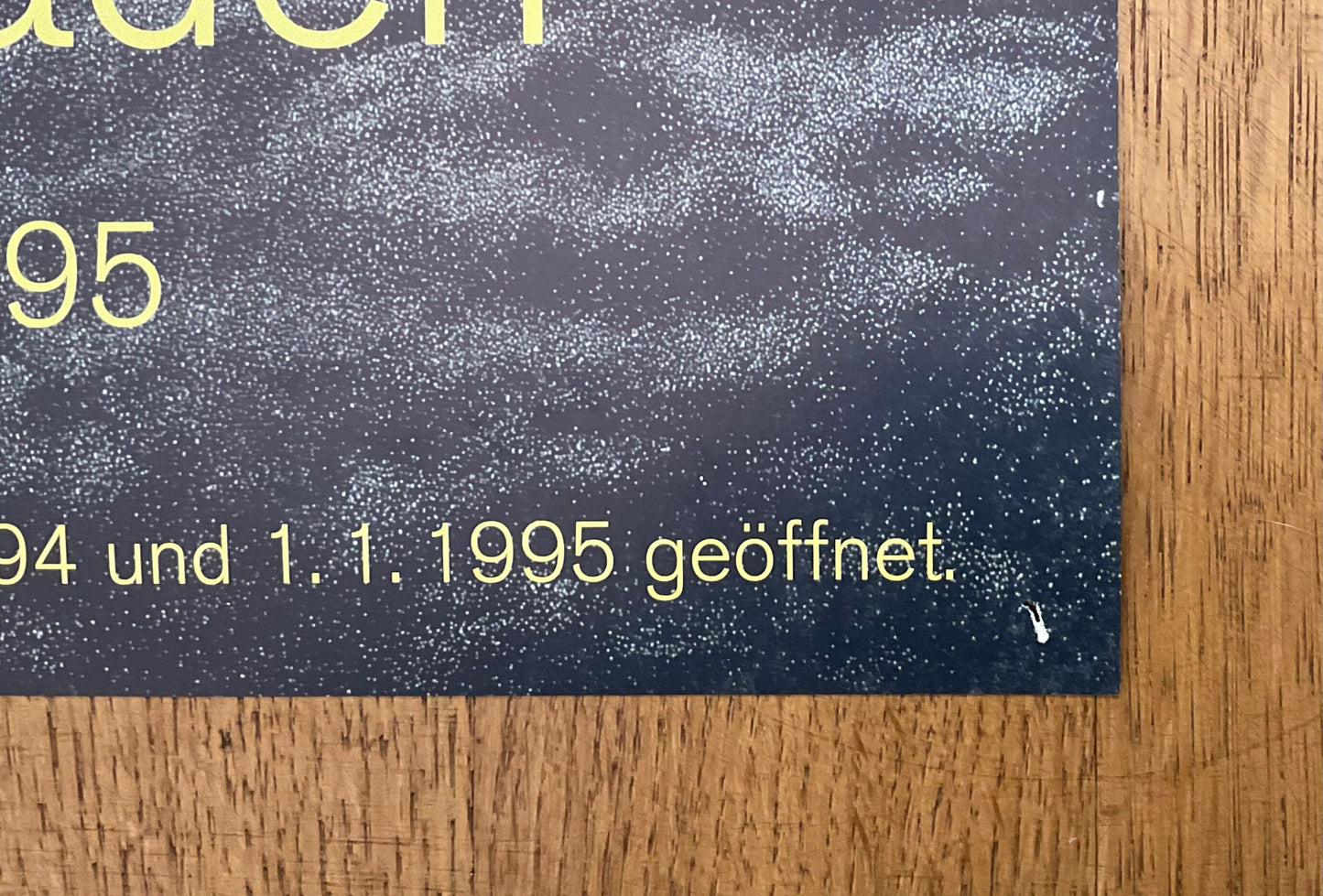 Franz Gertsch original art exhibition poster - 23.4"×30.1" (59.5×76.5cm)