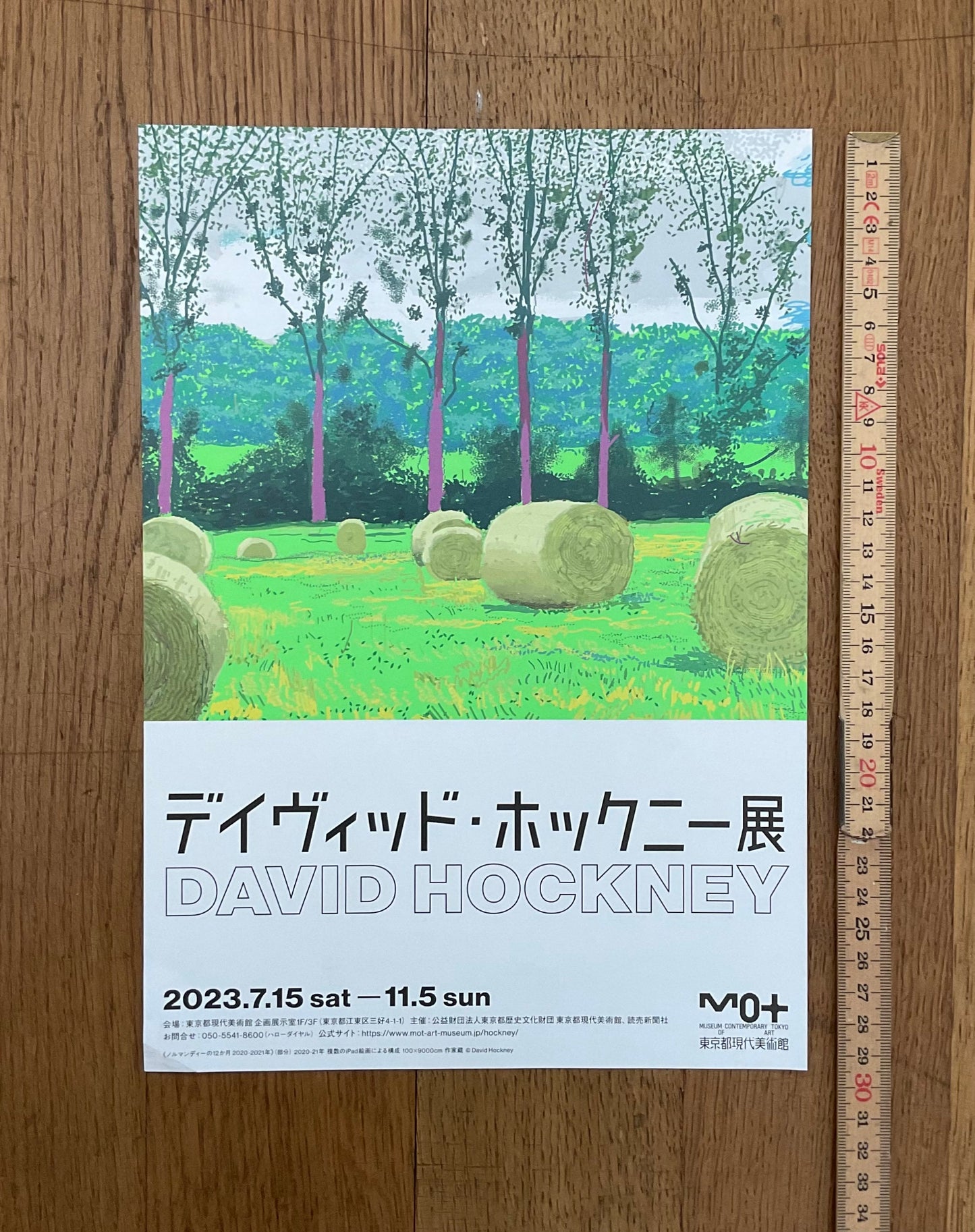 David Hockney exhibition poster flyer - 8.3"×11.7" (21×29.7cm)