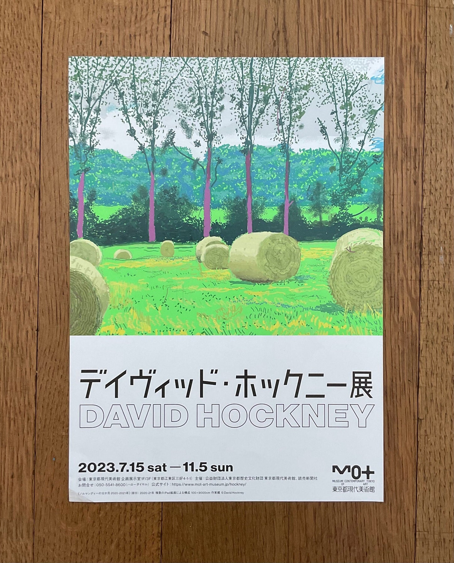 David Hockney exhibition poster flyer - 8.3"×11.7" (21×29.7cm)