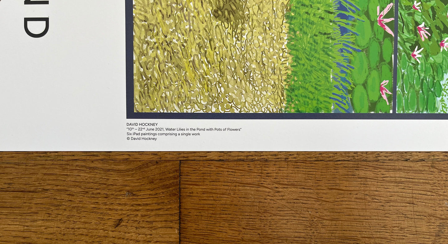 David Hockney original art poster - 19.7"×27.6" (50×70cm)