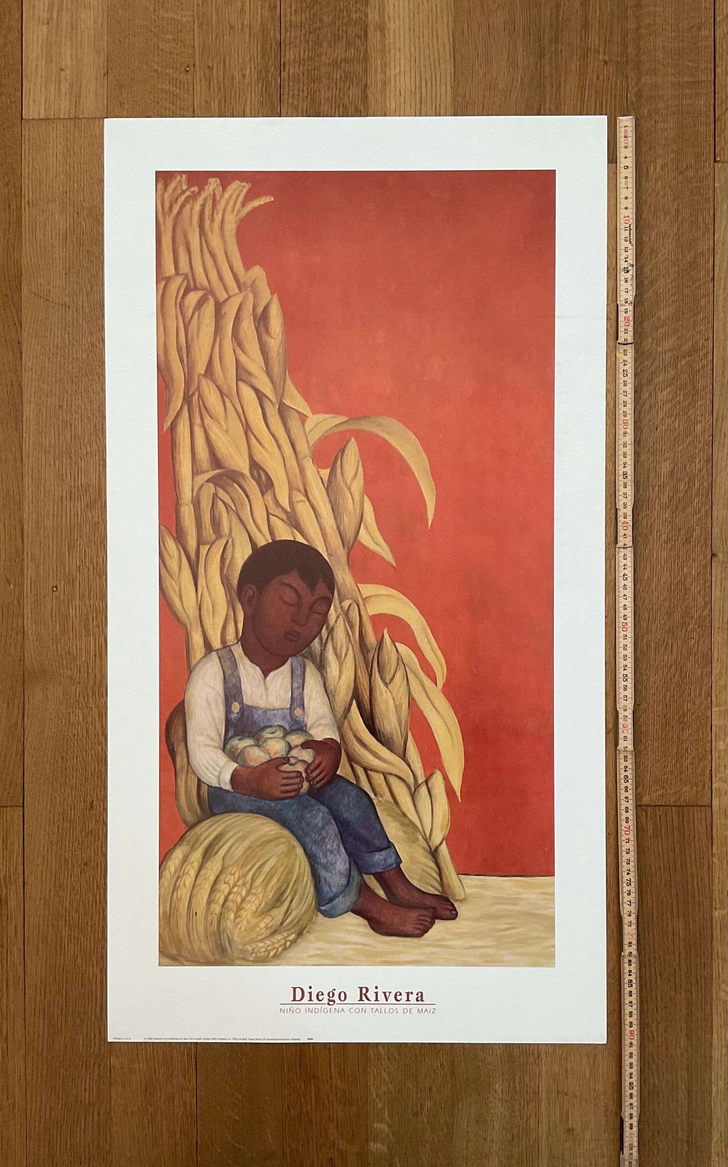 Diego Rivera art poster - 19.5"×36.0" (49.5×91.5cm)