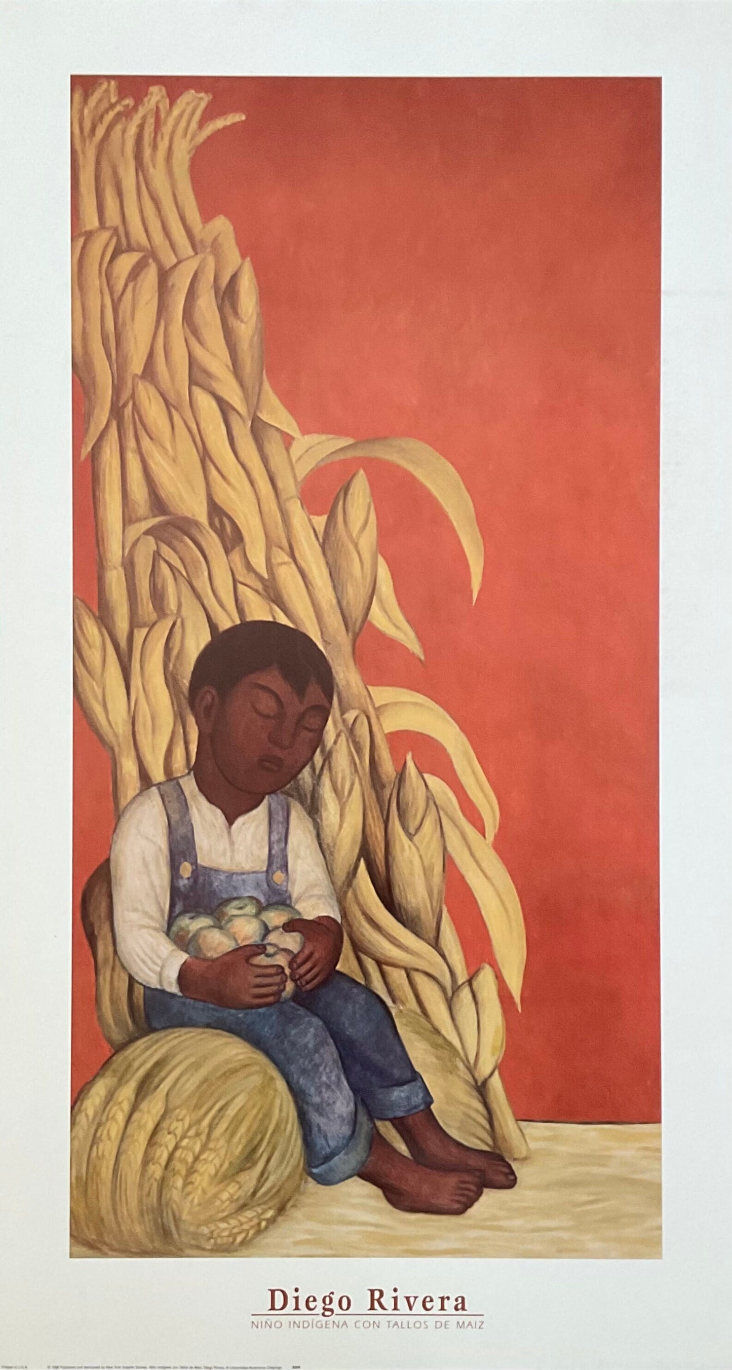 Diego Rivera art poster - 19.5"×36.0" (49.5×91.5cm)
