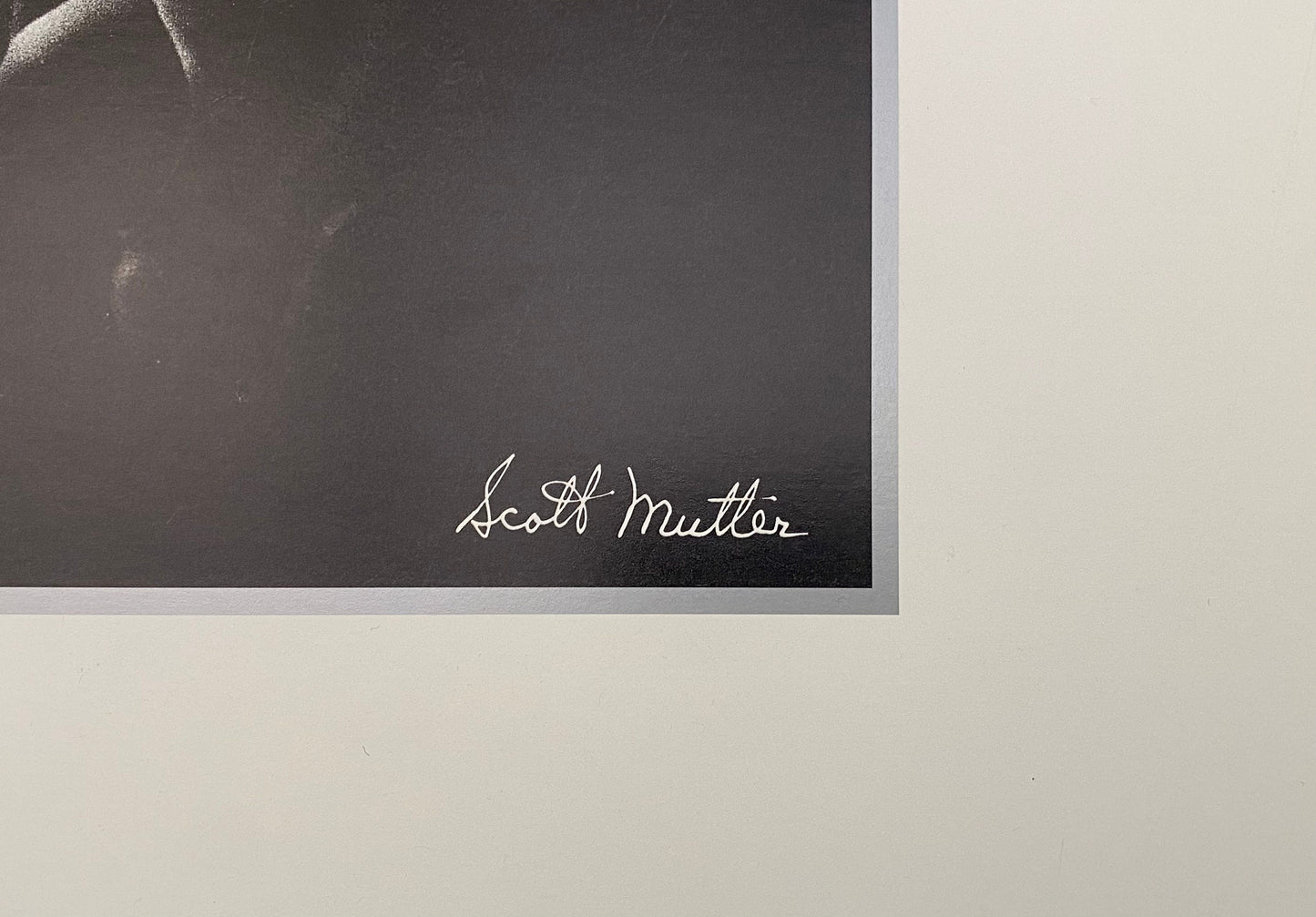 Scott Mutter original photography poster - 36.0"×24.0" (91.5×61cm)