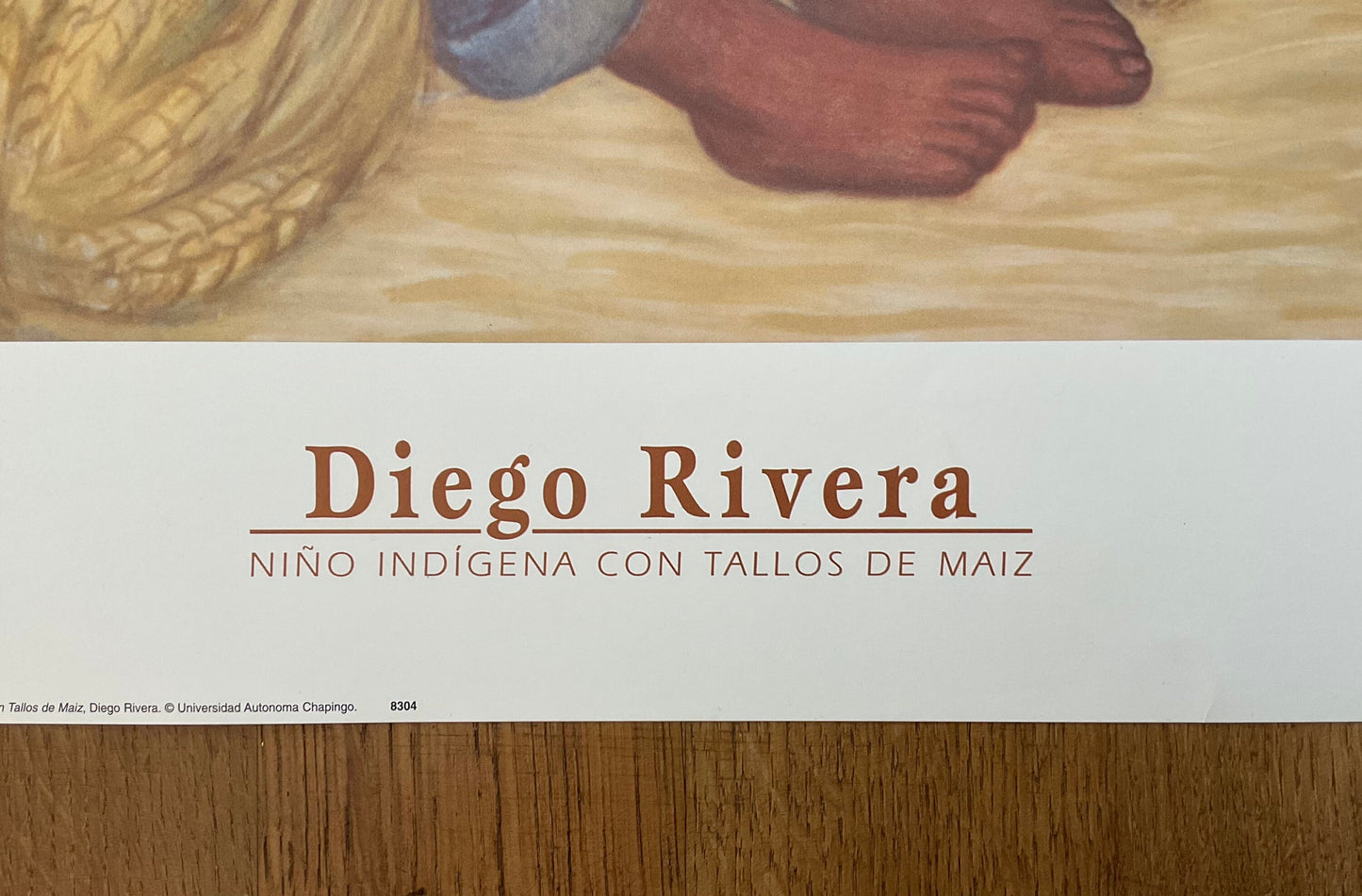 Diego Rivera art poster - 19.5"×36.0" (49.5×91.5cm)