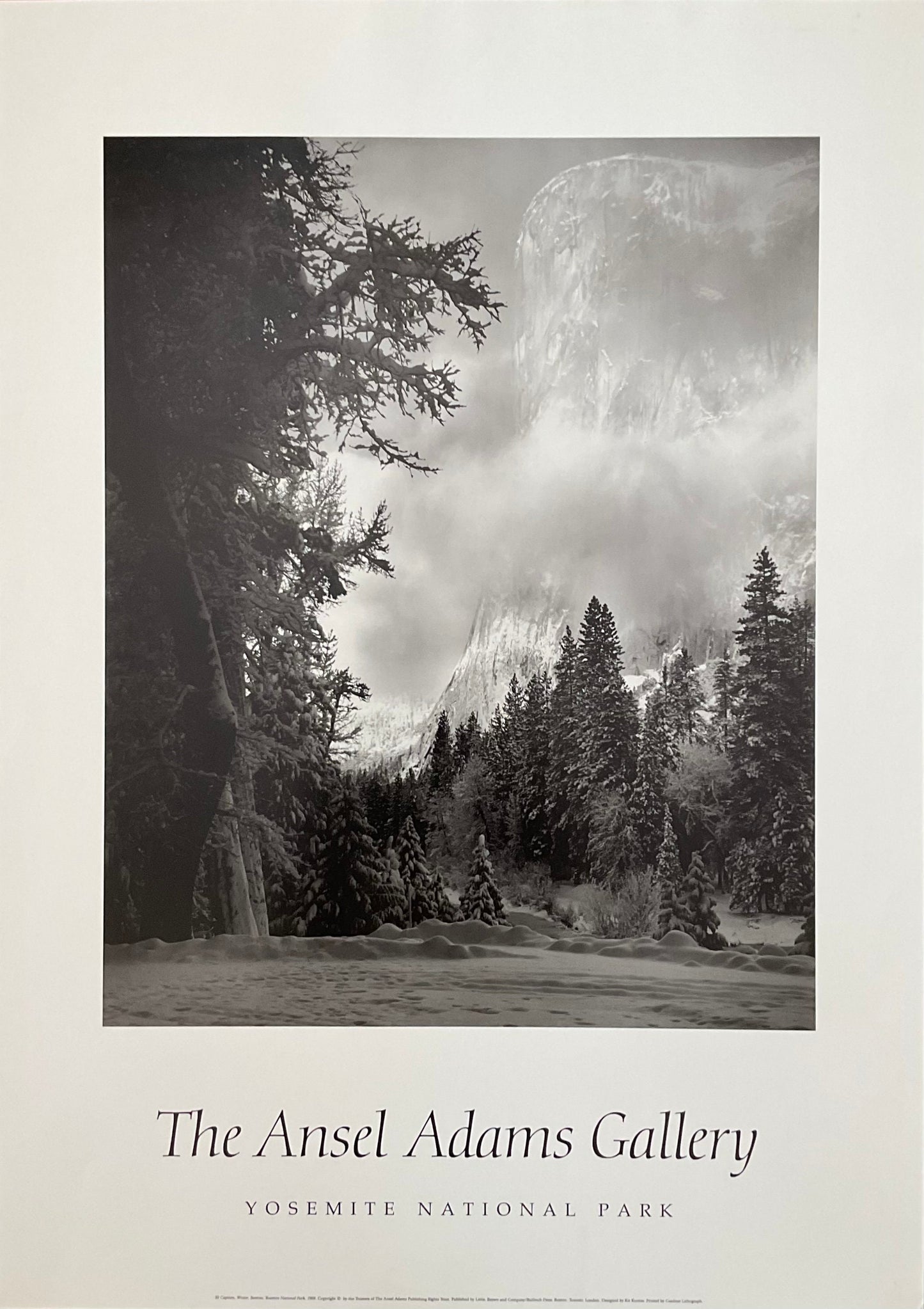 The Ansel Adams Gallery art poster - 25.6"×36.0" (65×91.5cm)