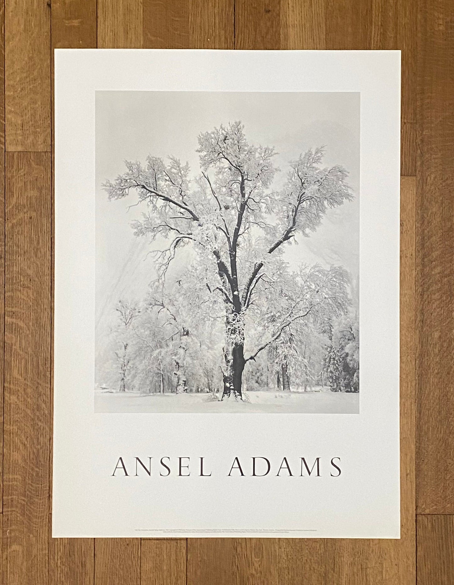 Ansel Adams original photography poster - 25.6"×35.8" (65×91cm)