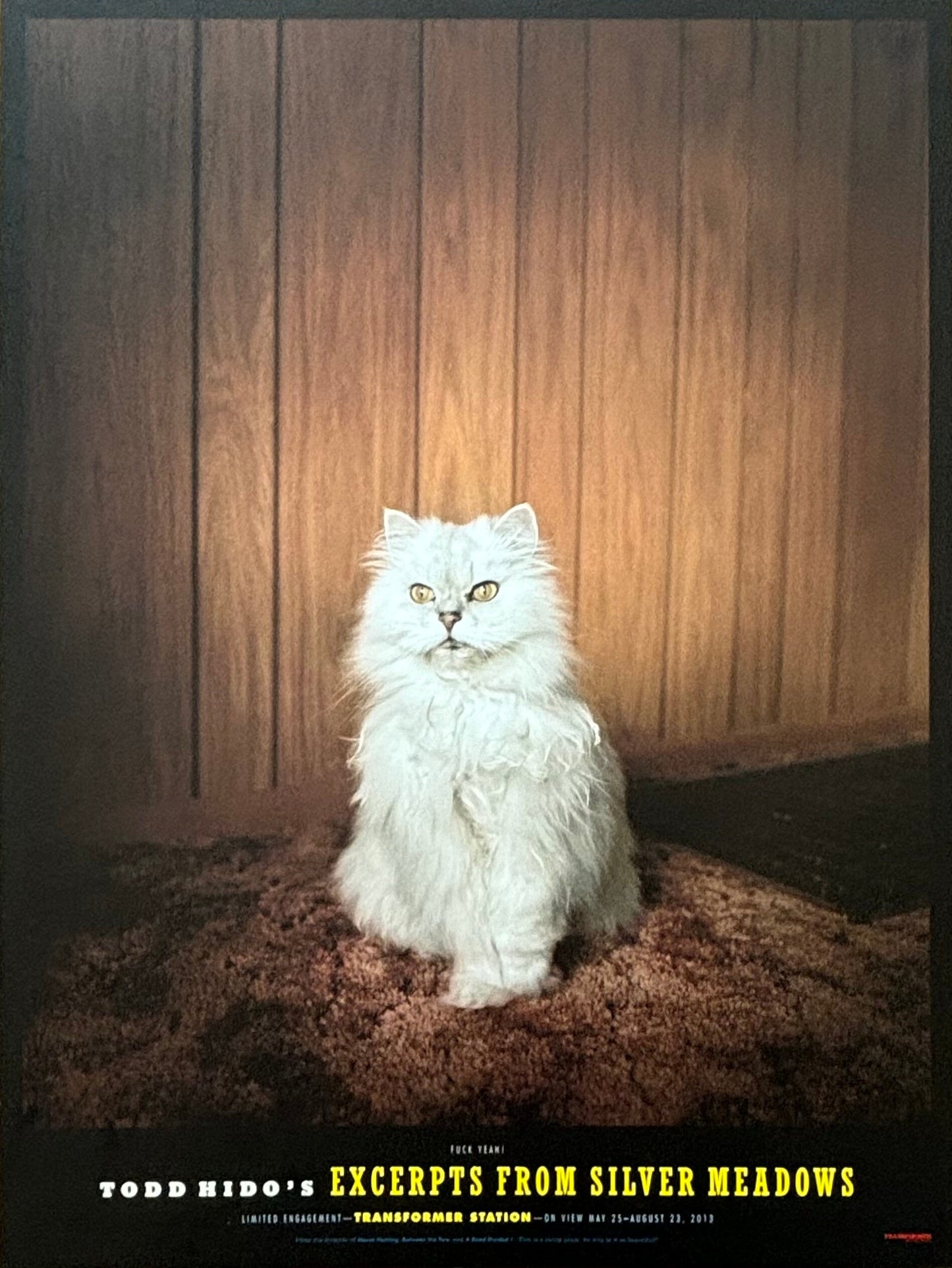 Todd Hido original photography poster - 12.0"×15.9" (30.5×40.5cm)
