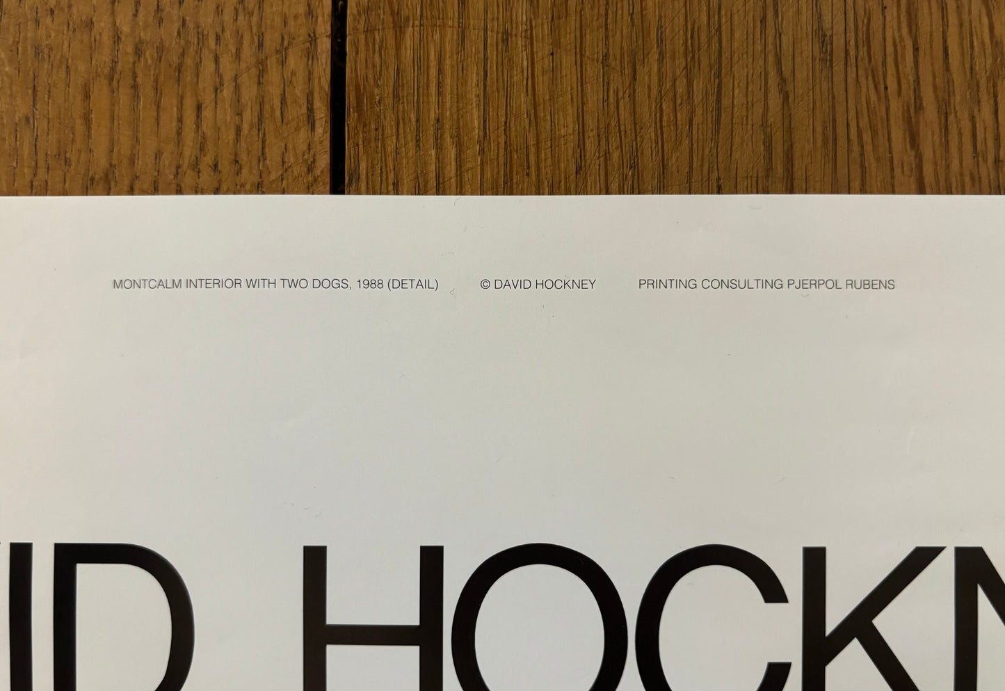 David Hockney original art poster used - 15.7"×23.6" (40×60cm)